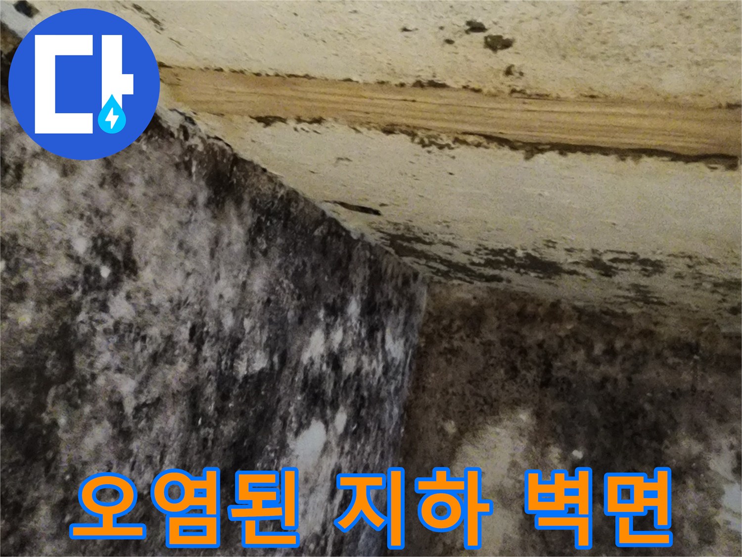 누수 피해로 인해 곰팡이가 발생한 지하층 내부