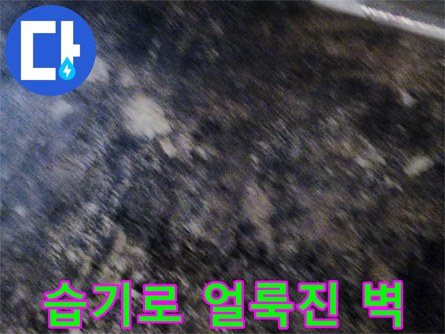 서초구 염곡동-곰팡이와 습기가 가득한 지하 벽면