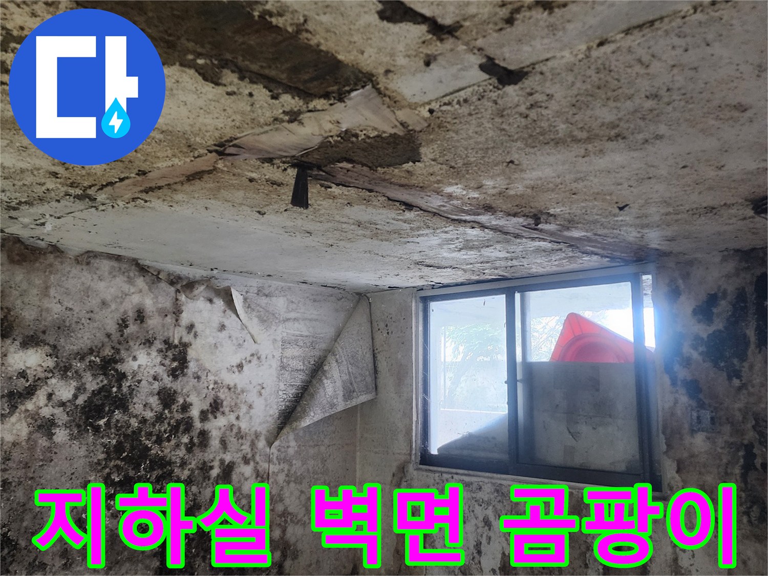 서초구 염곡동 지하실-벽면과 바닥에 광범위하게 퍼진 곰팡이 상태
