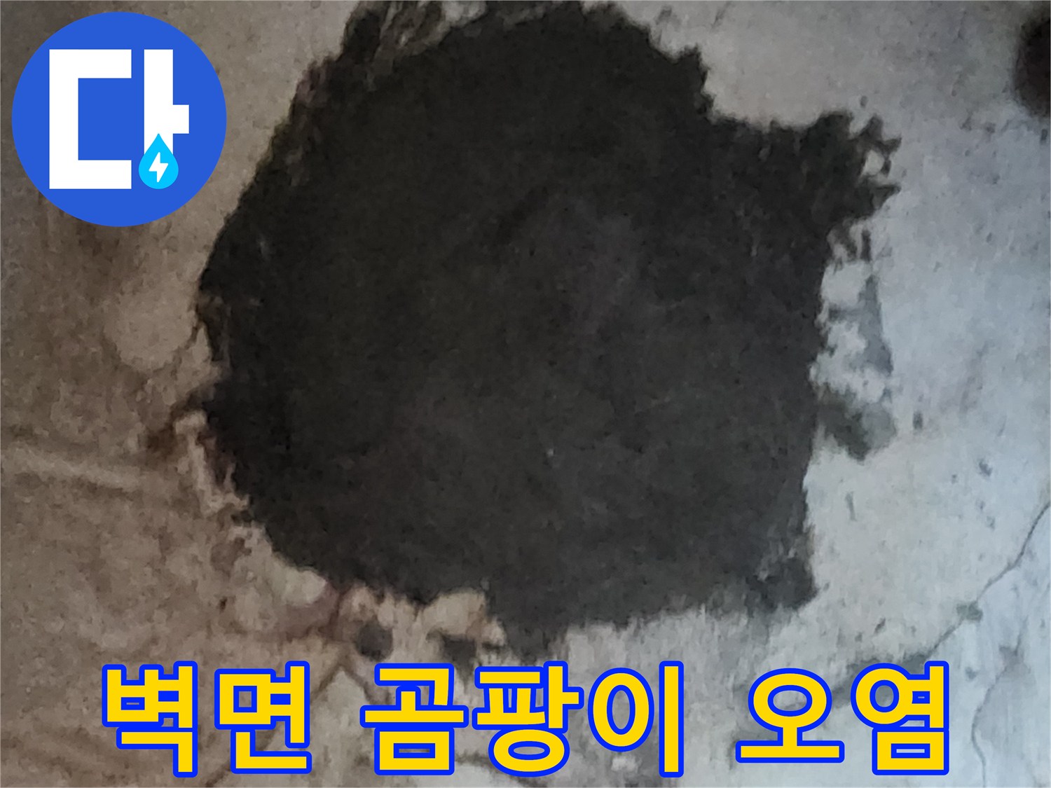 습기로 인해 변색되고 곰팡이가 번진 지하 벽면의 모습