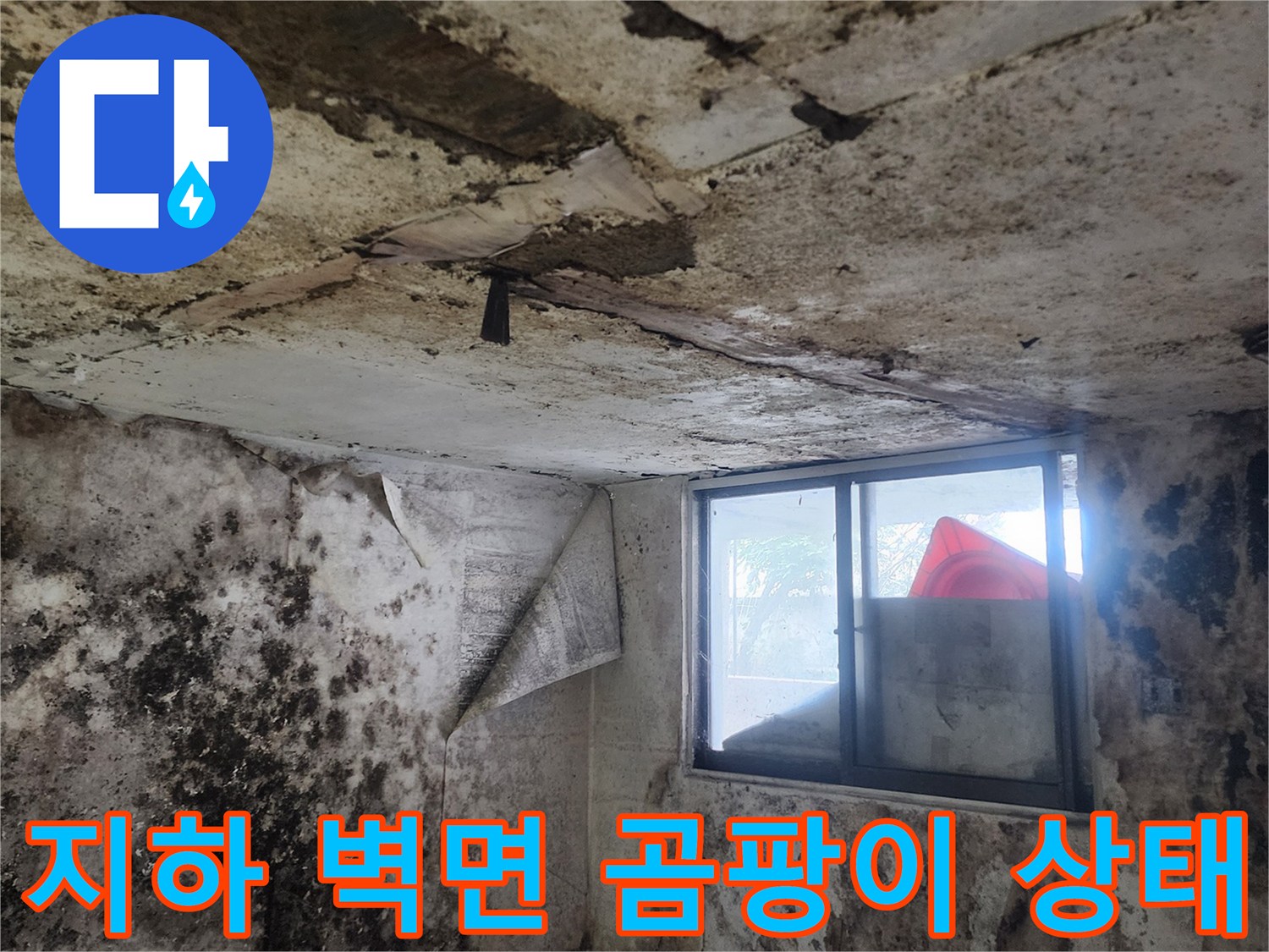 염곡동 현장-습기로 인해 검게 변한 지하 벽면 부위