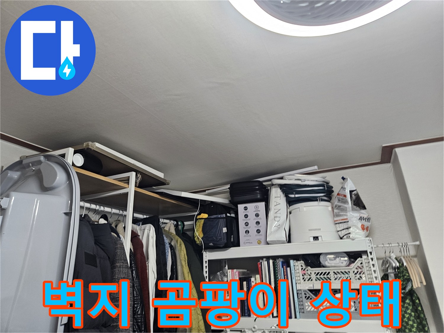 선반 뒤쪽 벽면에 발생한 곰팡이와 습기 흔적