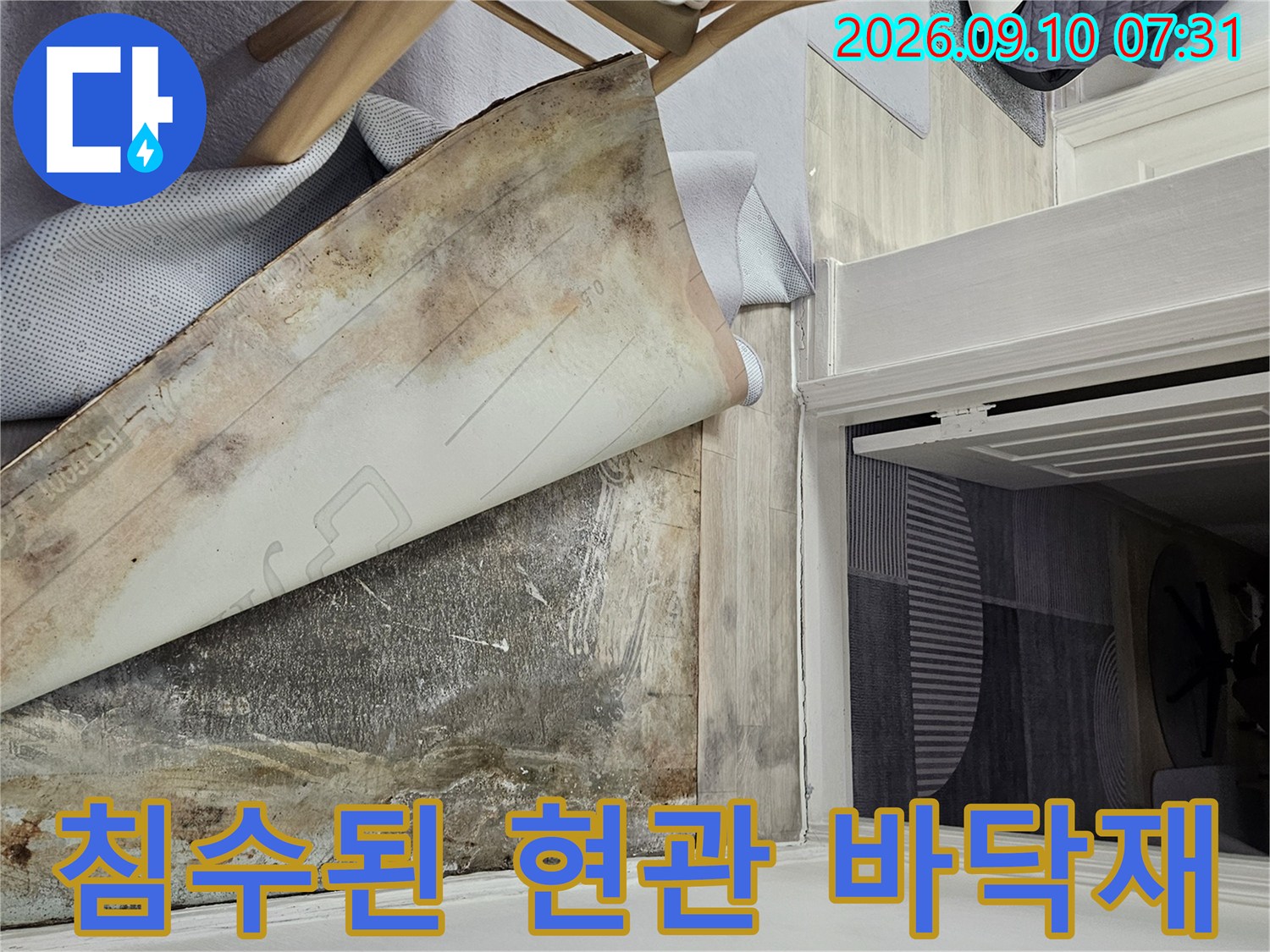 누수로 인해 젖어 있고 변색된 현관 대리석과 장판의 모습입니다.