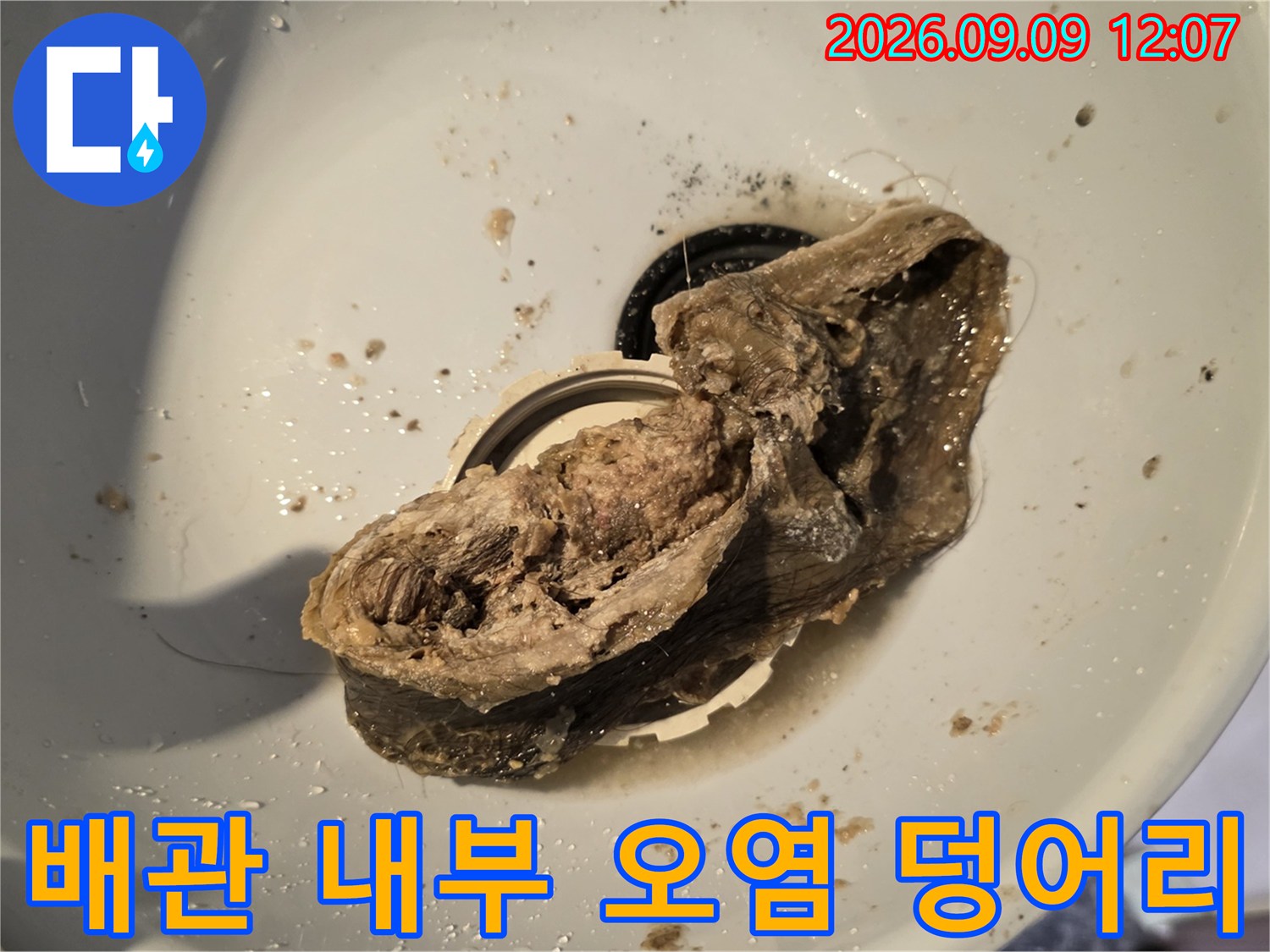 배관 내부에서 꺼낸 머리카락과 슬러지가 섞인 오염 물질