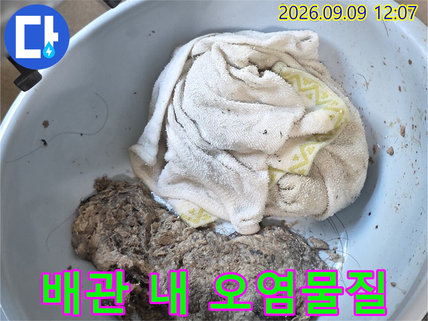 배관 청소 작업 후 수거된 머리카락 슬러지