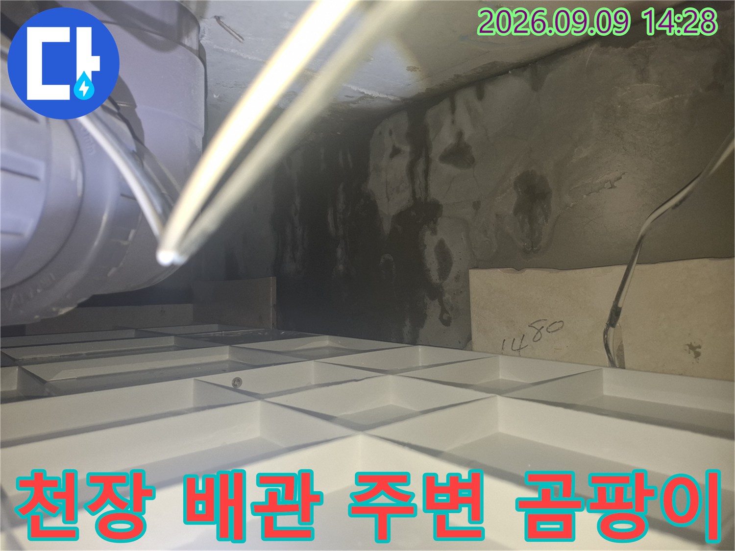 화장실 천장 내부 배관 주위에 형성된 짙은 색의 곰팡이와 습기 흔적