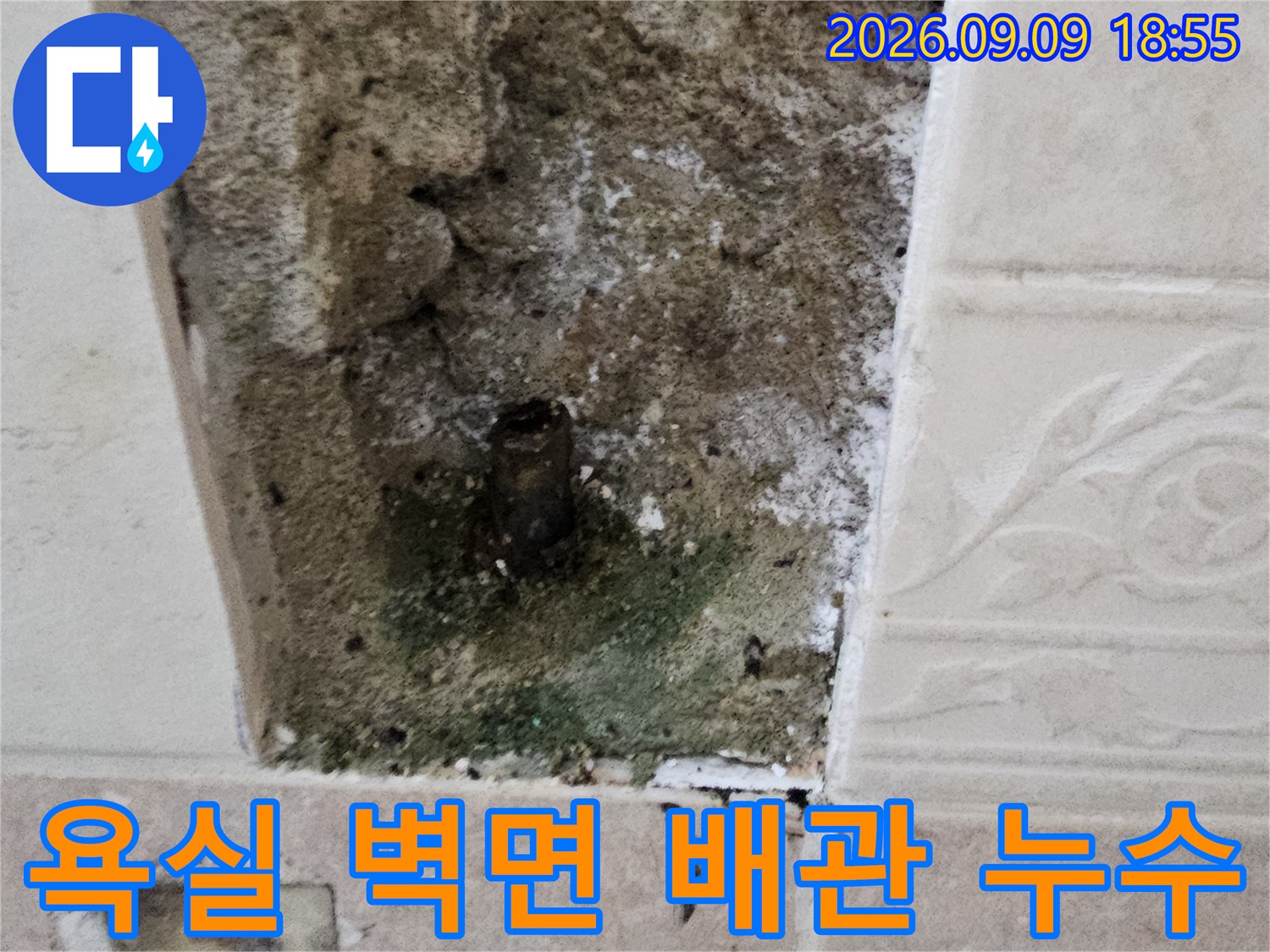 양주시 장흥면 욕실 타일 내부 배관 부식 및 곰팡이 발생 상태