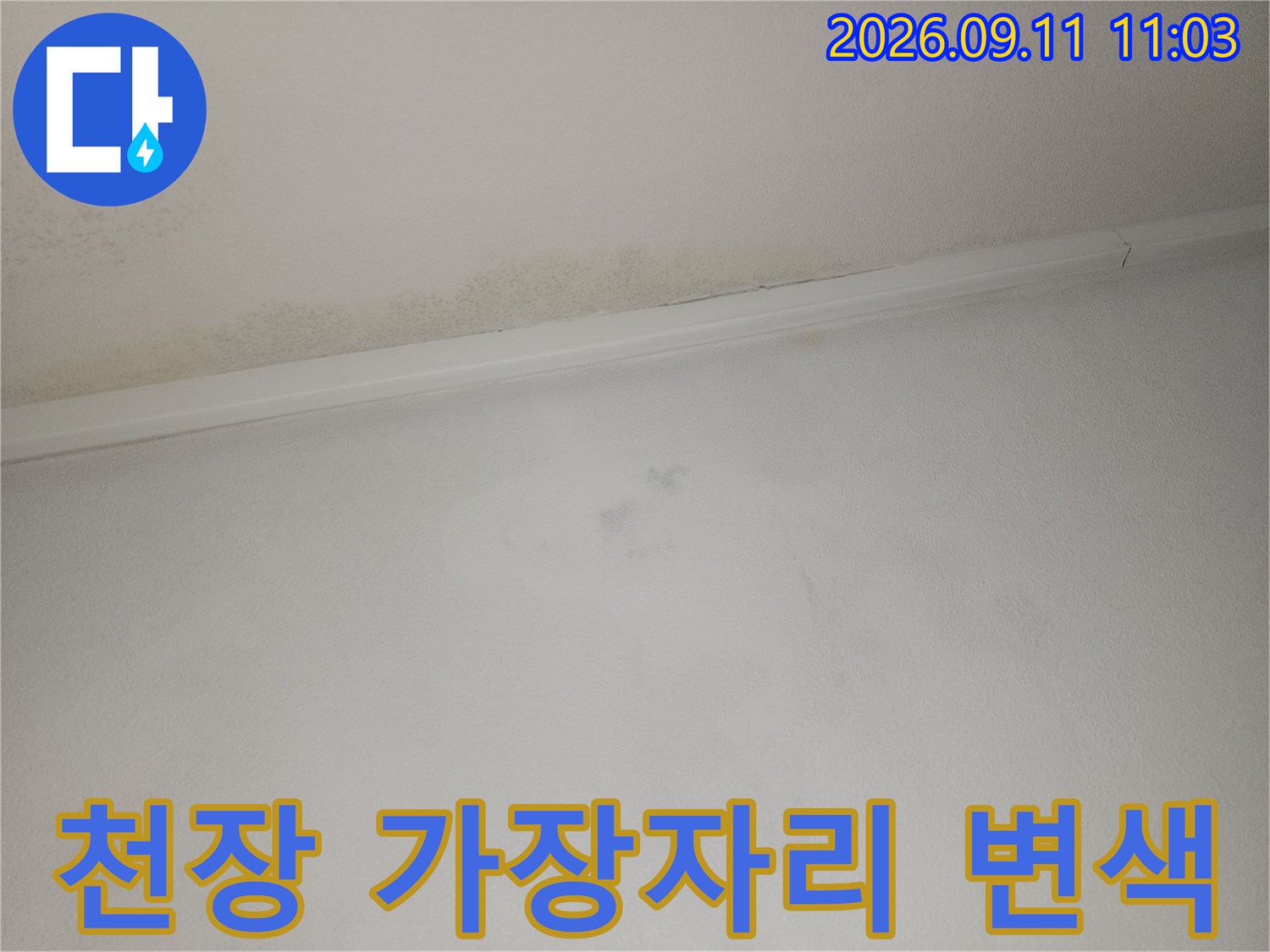천장과 벽면 경계 부위에 나타난 젖은 듯한 누수 얼룩