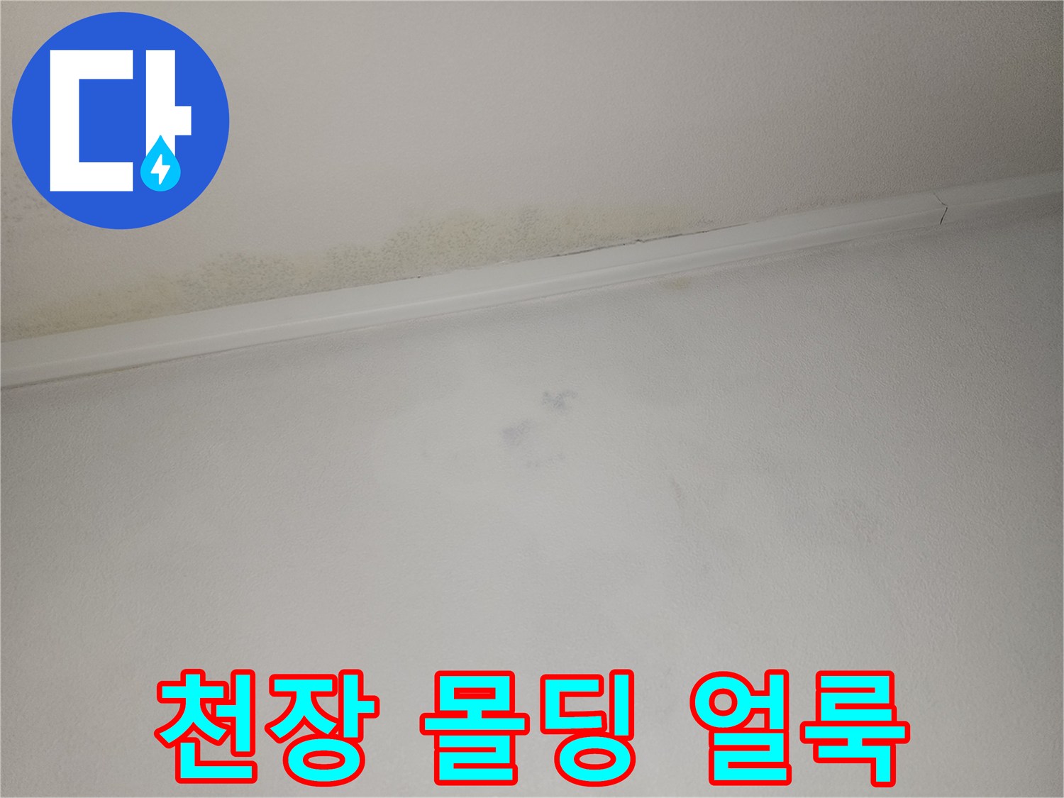 천장과 벽면이 만나는 지점의 습기 및 변색 부위