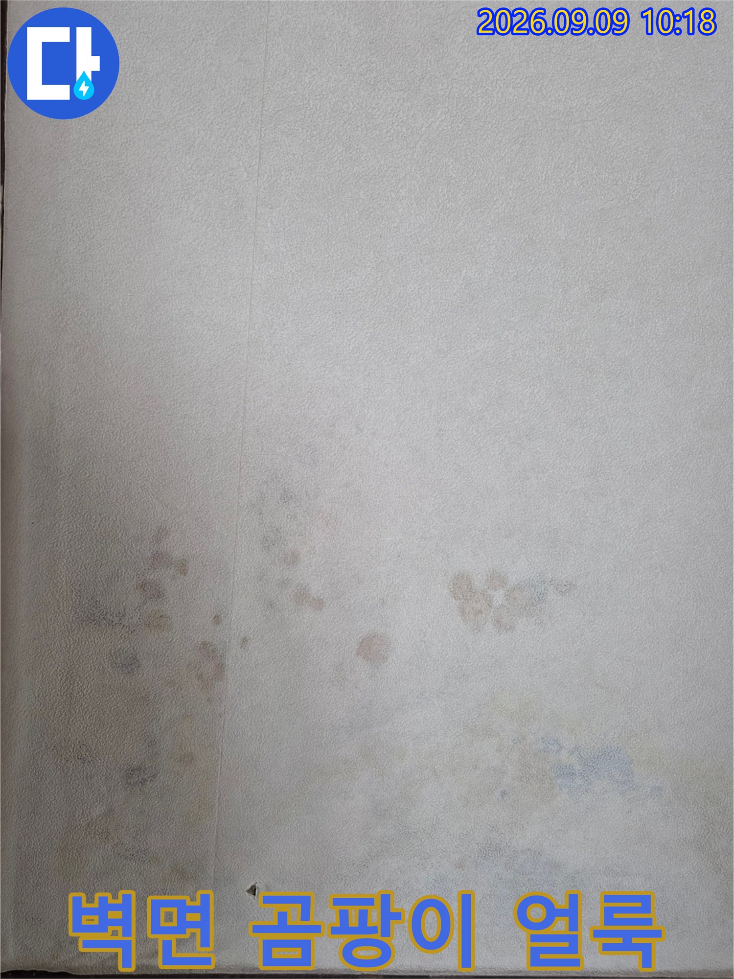 인천 연수구 송도동-습기가 스며들어 변색된 벽지와 곰팡이
