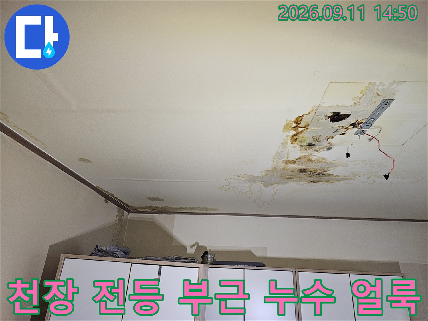 구로구 개봉동-아파트 천장 전등 주변에 발생한 누수 흔적과 곰팡이 현상