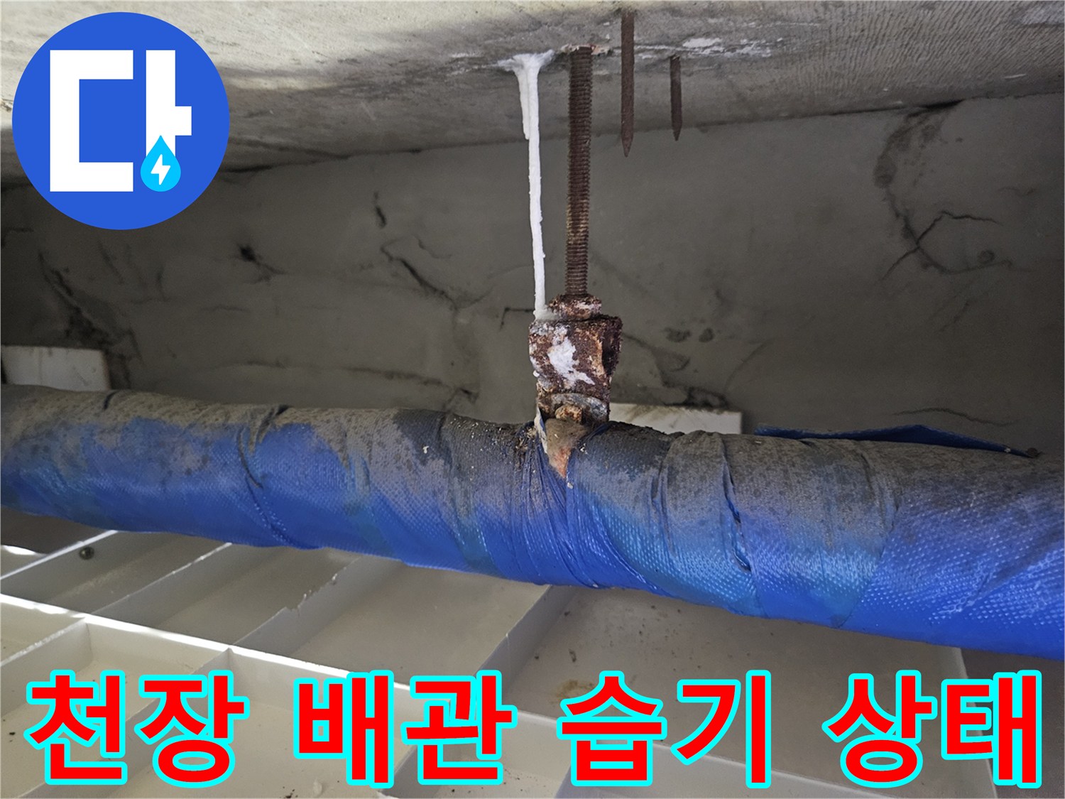 일산동구 장항동-아랫집 천장 배관 주변의 습기와 오염된 상태를 보여주는 사진