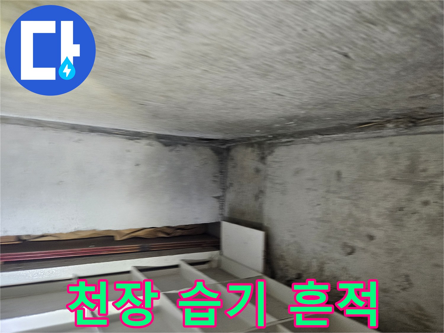 일산동구-장항동-화장실-천장-습기와-오염된-콘크리트-상태