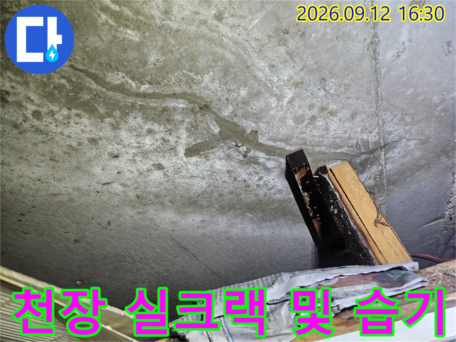 공릉동 현장의 화장실 천장 슬라브에 발생한 선형 균열과 젖은 부위