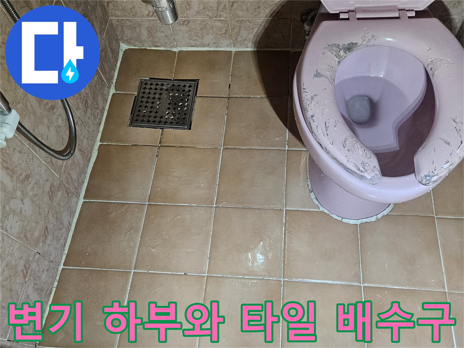 노원구 공릉동-화장실 변기 주변과 배수구 근처 촬영