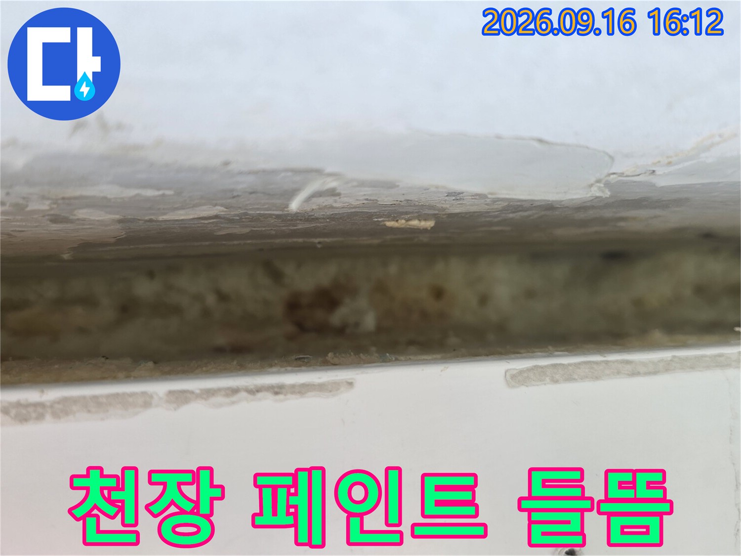 노원구 중계동 아파트 천장 부근의 페인트가 벗겨지고 습기가 찬 모습