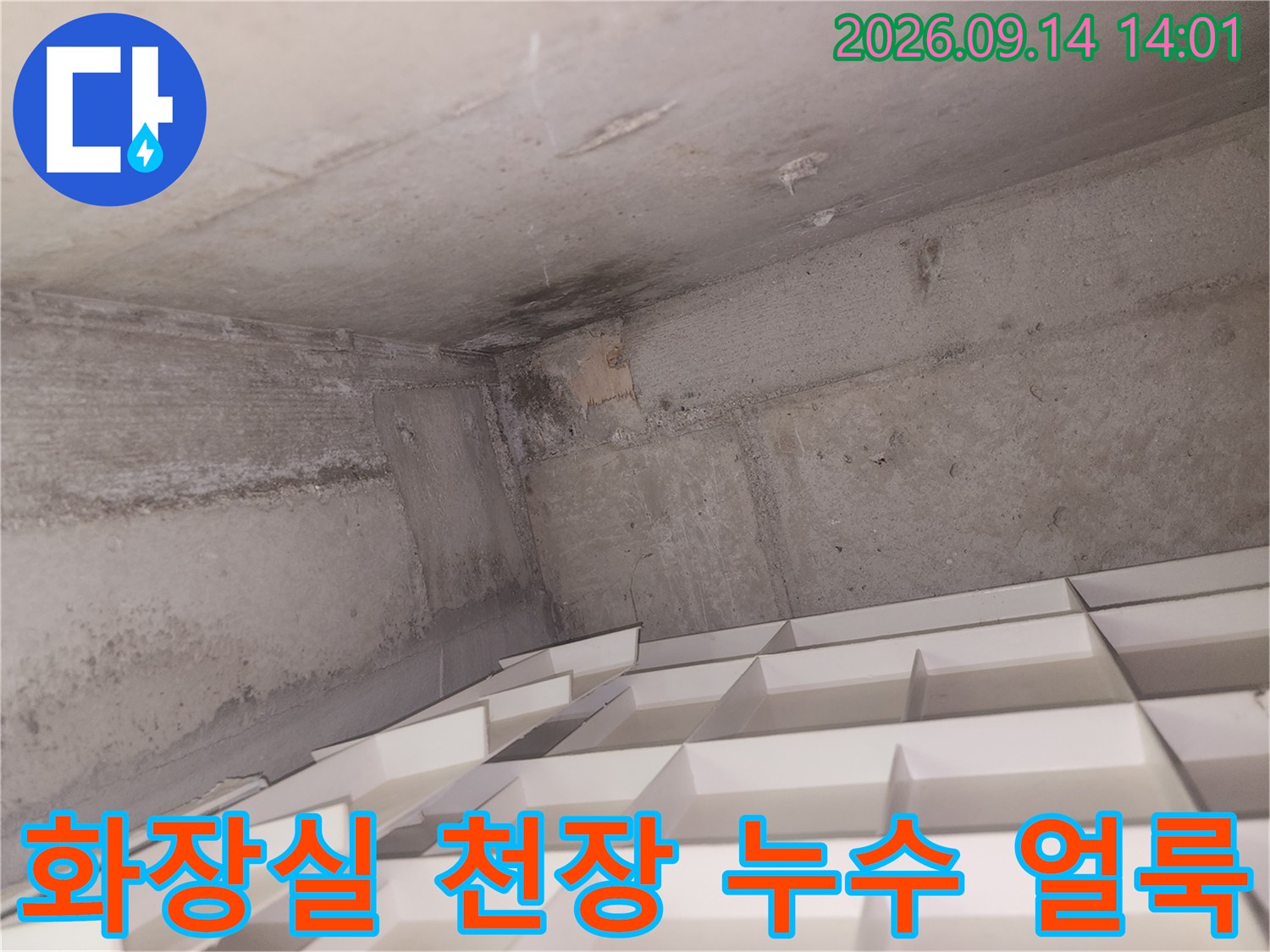 습기가 스며들어 어둡게 변한 화장실 천장 구석 모서리