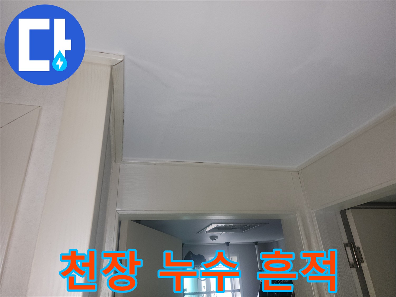 천장-가장자리를-따라-발견된-습기-흔적