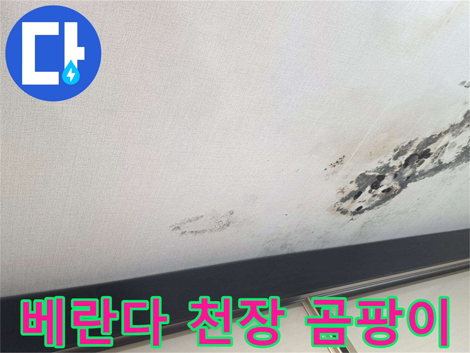 구리시 교문동-베란다 천장에 발생한 검은 곰팡이와 젖은 얼룩 사진