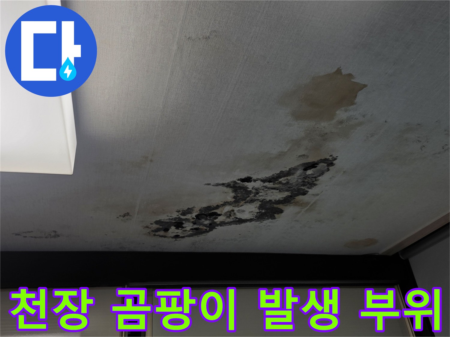 베란다 천장 면에 나타난 심한 변색과 곰팡이 증상
