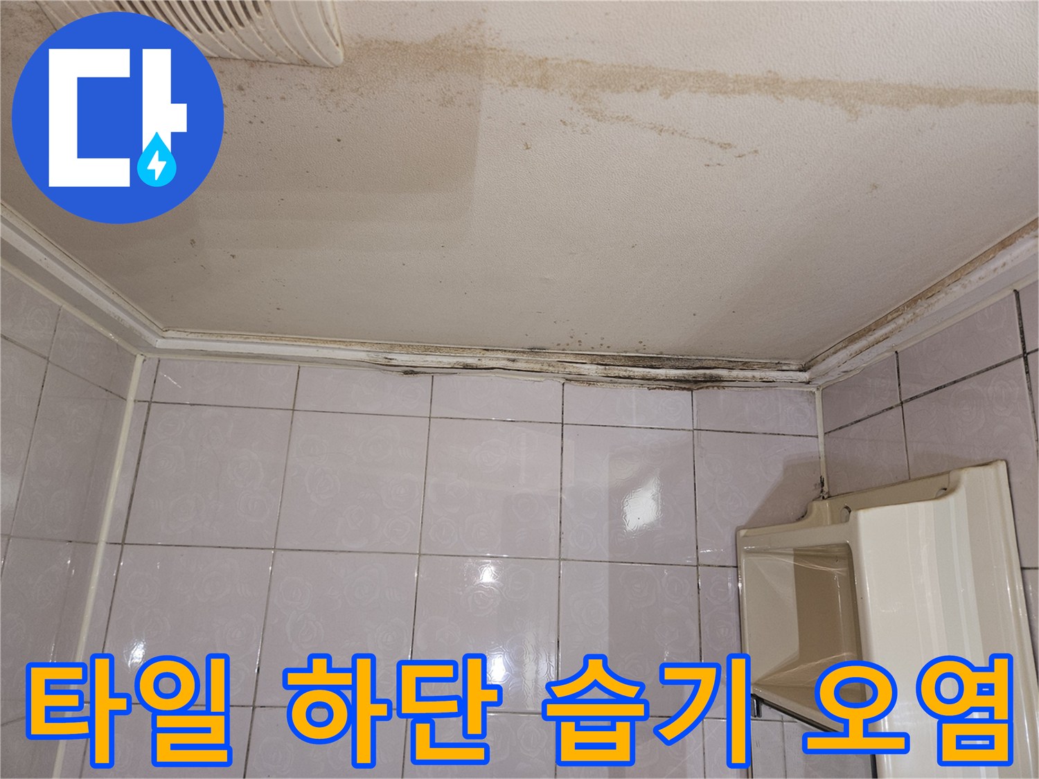 화장실 타일 경계 부위 - 수분 침투로 인한 곰팡이 발생