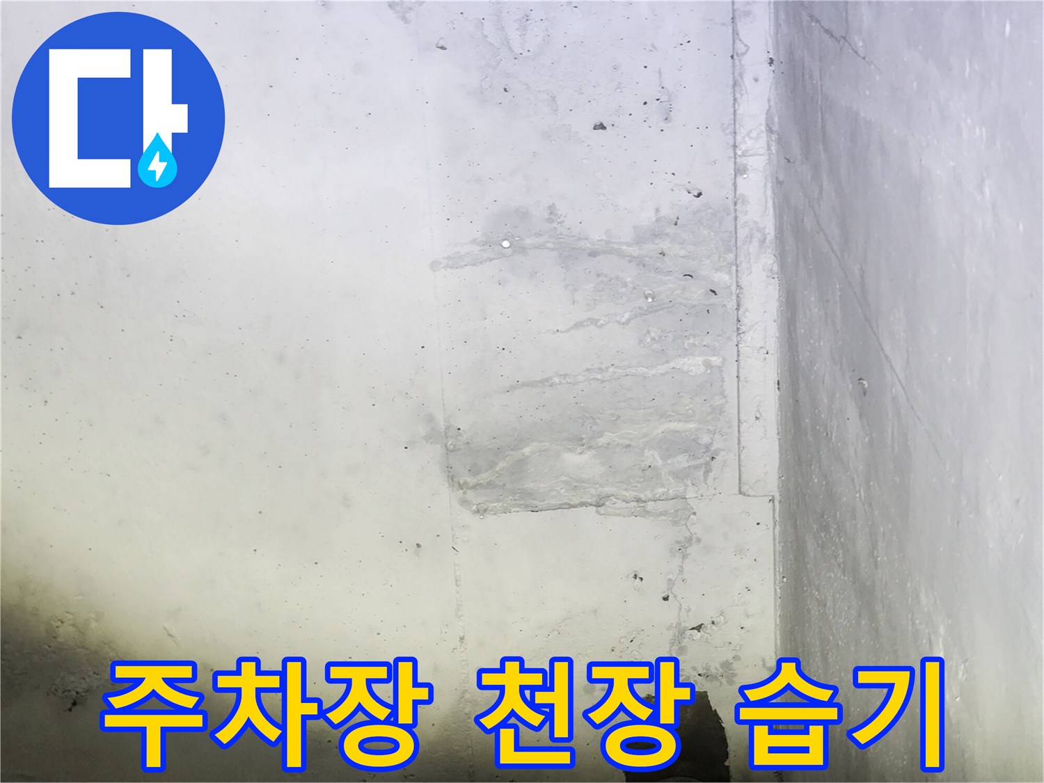 화성시 우정읍 지하 주차장 콘크리트 천장의 누수 흔적과 얼룩 상태