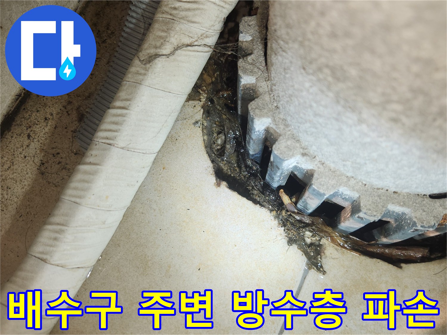 가양동 현장-배수구 주변 타일 틈새로 물이 스며든 상태입니다.